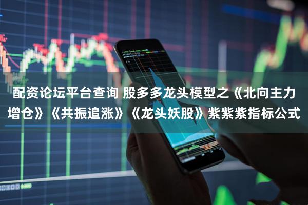 配资论坛平台查询 股多多龙头模型之《北向主力增仓》《共振追涨》《龙头妖股》紫紫紫指标公式